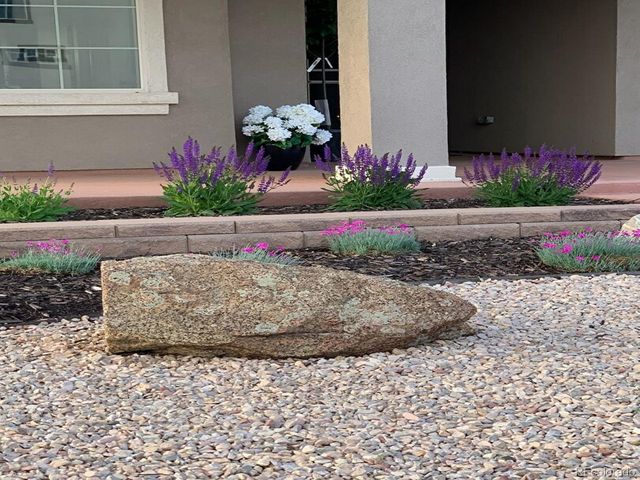 19509 E 55th Ave, Denver, CO 80249