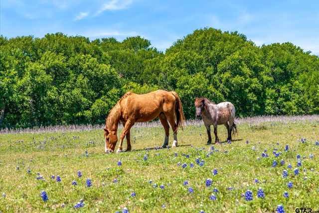 2201 E FM 813, Ennis, TX 75119