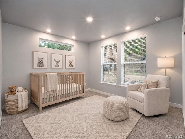 710 Mcmillen Way, Nederland, CO 80466
