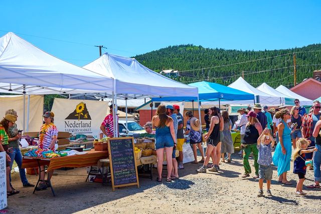 710 Mcmillen Way, Nederland, CO 80466
