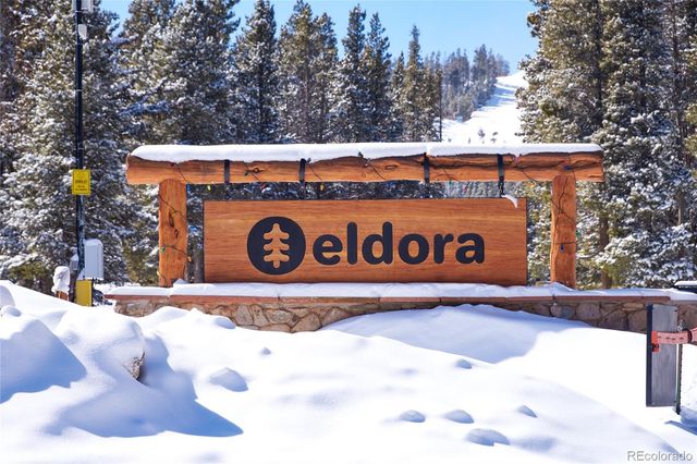 710 Mcmillen Way, Nederland, CO 80466