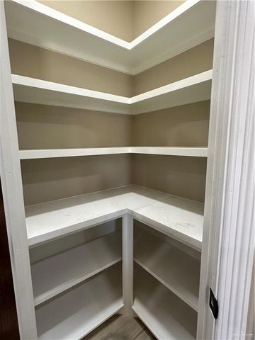 309 Pheasant Drive, La Joya, TX 78560