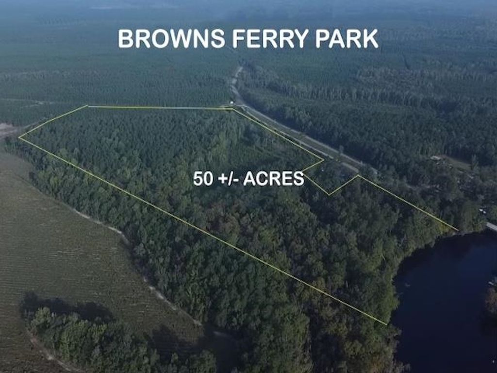 TBD Browns Ferry Rd., Georgetown, SC 29440 — exterior