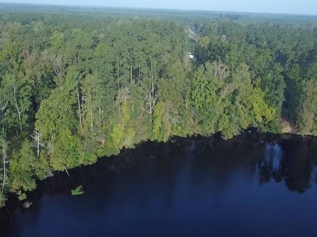 TBD Browns Ferry Rd., Georgetown, SC 29440 — photo 2