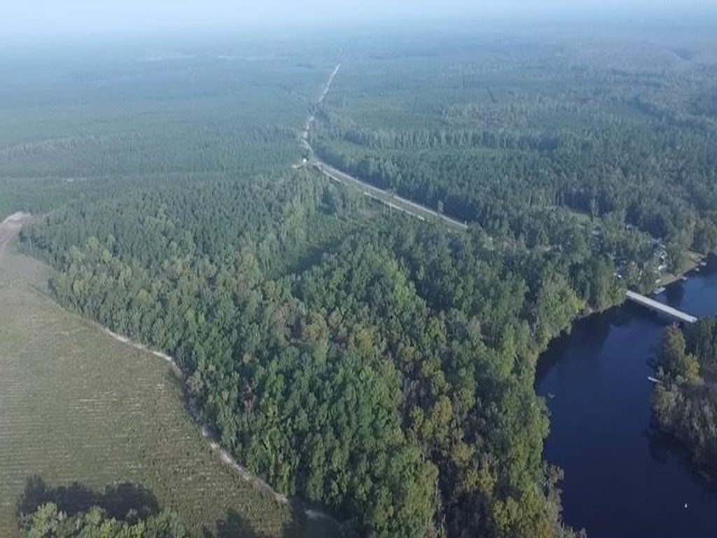 TBD Browns Ferry Rd., Georgetown, SC 29440 — photo 4