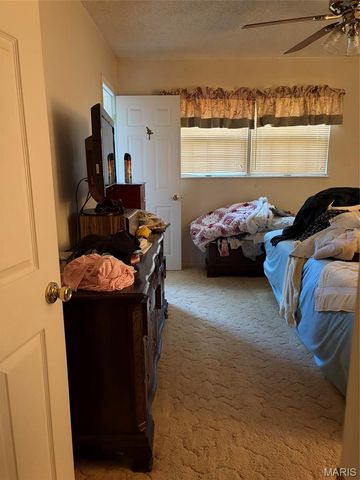 8560 Saffell Road, Bonne Terre, MO 63628