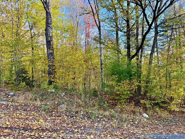 0 Townshend Dam Road, Wardsboro, VT 05355