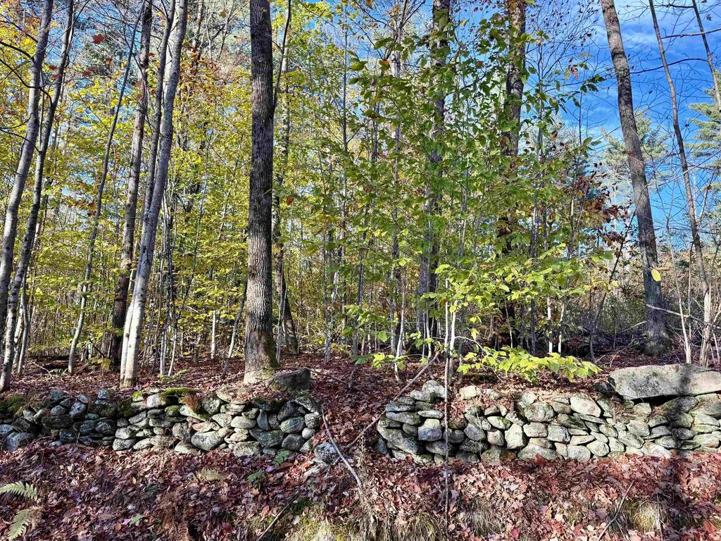 0 Townshend Dam Road, Wardsboro, VT 05355