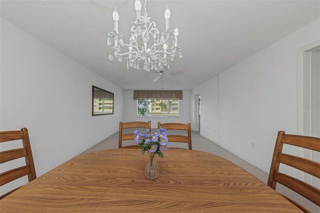 4550 COVE CIRCLE 207, St Petersburg, FL 33708