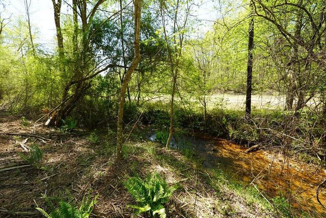 1600 Sperin Road, Ball Ground, GA 30107