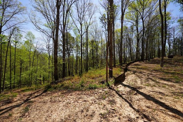 1600 Sperin Road, Ball Ground, GA 30107
