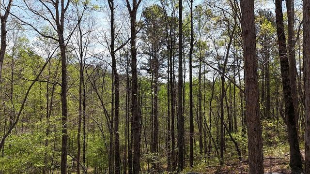 1600 Sperin Road, Ball Ground, GA 30107