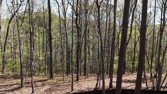 1600 Sperin Road, Ball Ground, GA 30107