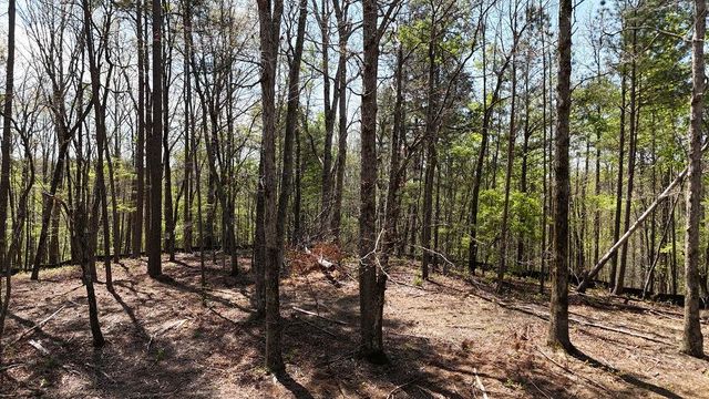 1600 Sperin Road, Ball Ground, GA 30107