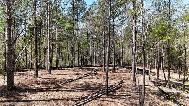 1600 Sperin Road, Ball Ground, GA 30107
