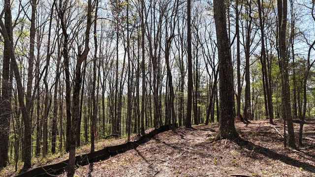 1600 Sperin Road, Ball Ground, GA 30107
