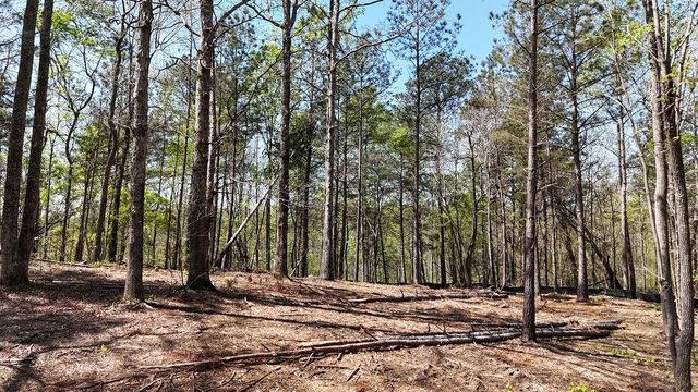 1600 Sperin Road, Ball Ground, GA 30107