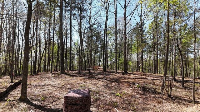 1600 Sperin Road, Ball Ground, GA 30107