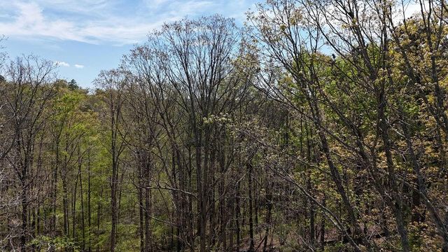 1600 Sperin Road, Ball Ground, GA 30107