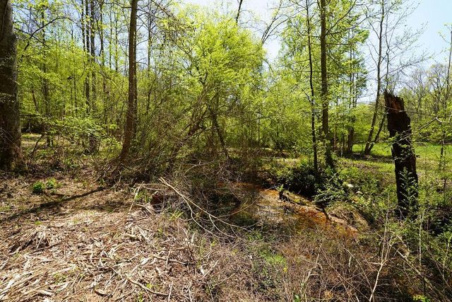 1600 Sperin Road, Ball Ground, GA 30107