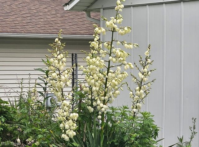 5743 Mills Creek Lane, North Ridgeville, OH 44039