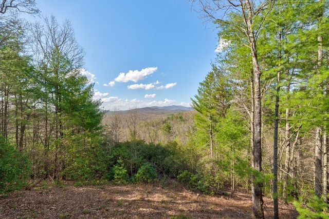 425 Rhonda Lane, Mineral Bluff, GA 30559
