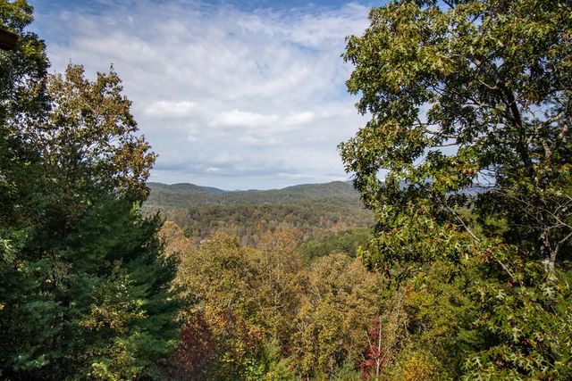 425 Rhonda Lane, Mineral Bluff, GA 30559