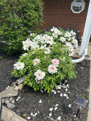 60 The Rise, Warwick, NY 10990