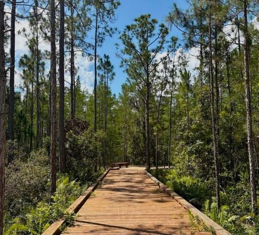 3007 MIRAGE PLACE, St Cloud, FL 34771