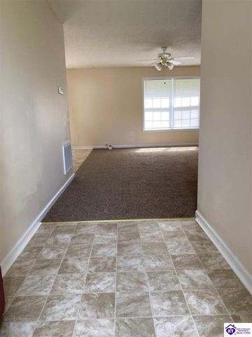 119 Red Hawk Drive, Vine Grove, KY 40175