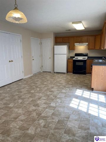 119 Red Hawk Drive, Vine Grove, KY 40175