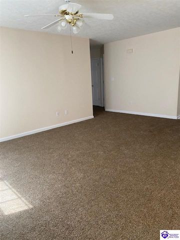 119 Red Hawk Drive, Vine Grove, KY 40175