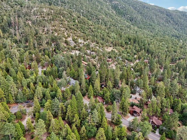 24918 Fern Valley Road, Idyllwild, CA 92549