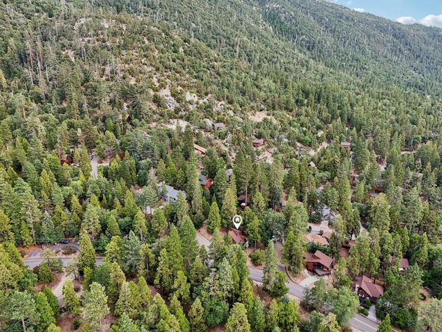 24918 Fern Valley Road, Idyllwild, CA 92549
