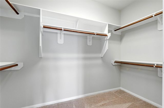 29650 Yaupon Shore Drive, Spring, TX 77386