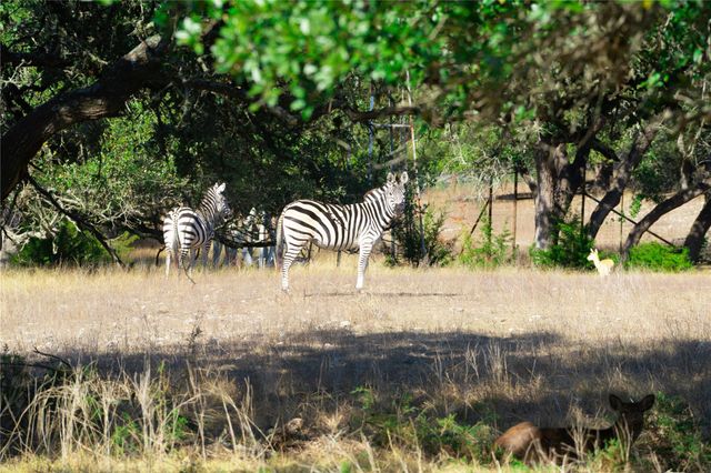 7890 US 290 Highway, Dripping Springs, TX 78620