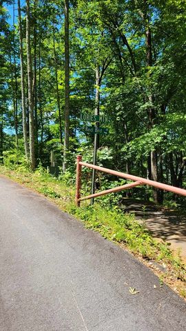 Lot 1 Hickory Ridge, Hayesville, NC 28904