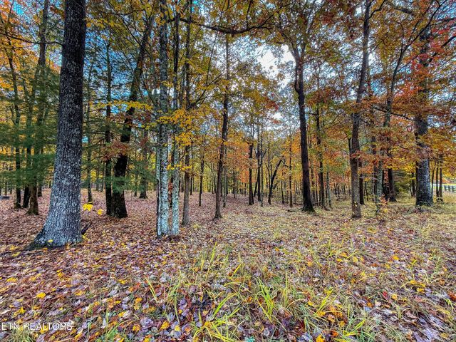 273 Spruce Creek Drive, Jamestown, TN 38556