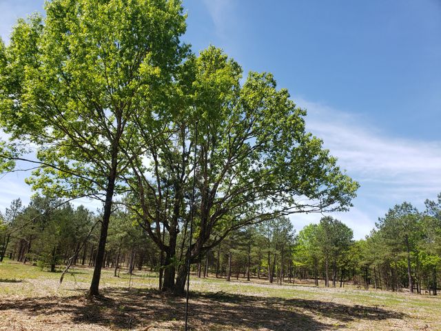 0 Kedron Rd, Spring Hill, TN 37174