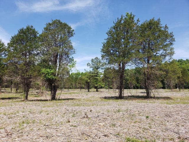 0 Kedron Rd, Spring Hill, TN 37174