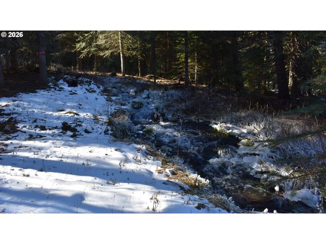 60839 LIBERTY Rd, Joseph, OR 97846