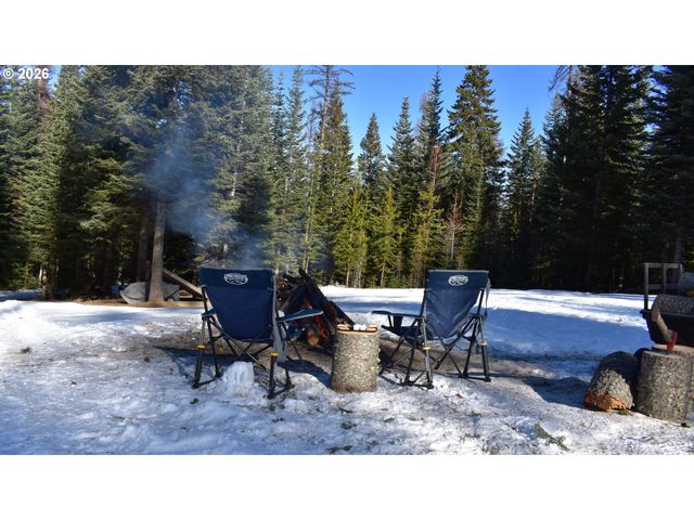 60839 LIBERTY Rd, Joseph, OR 97846