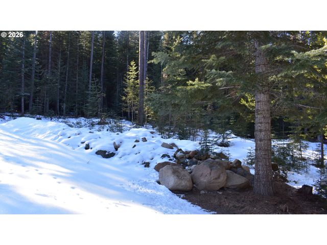 60839 LIBERTY Rd, Joseph, OR 97846