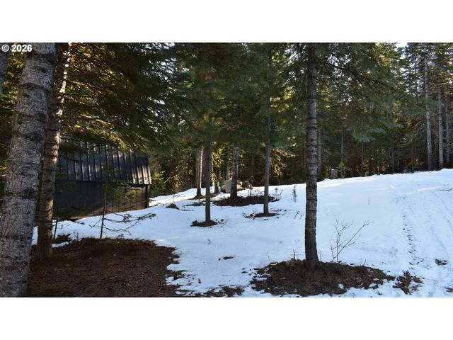 60839 LIBERTY Rd, Joseph, OR 97846