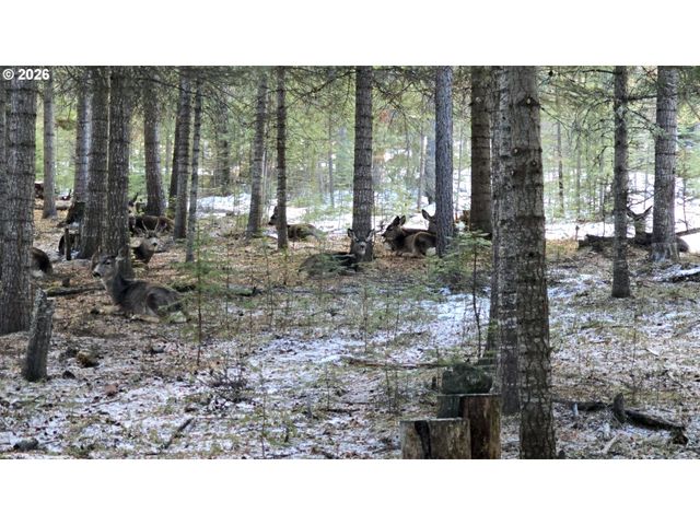 60839 LIBERTY Rd, Joseph, OR 97846
