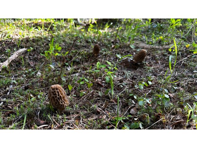 60839 LIBERTY Rd, Joseph, OR 97846