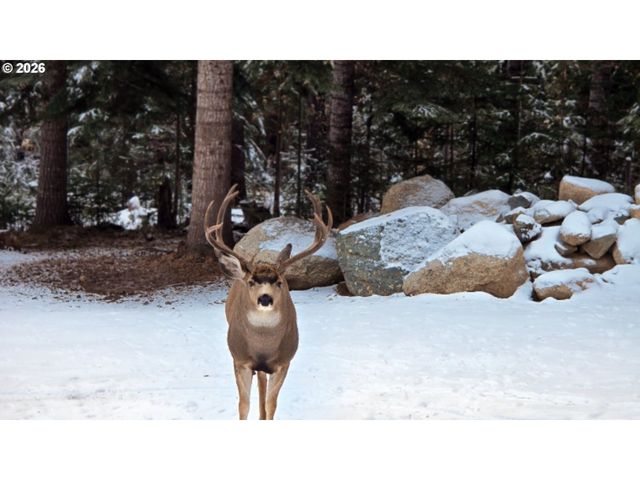 60839 LIBERTY Rd, Joseph, OR 97846