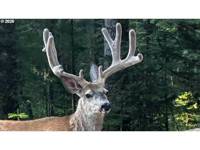 60839 LIBERTY Rd, Joseph, OR 97846