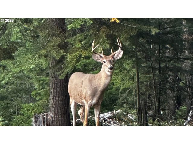 60839 LIBERTY Rd, Joseph, OR 97846