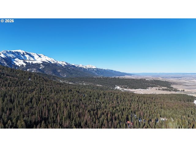 60839 LIBERTY Rd, Joseph, OR 97846